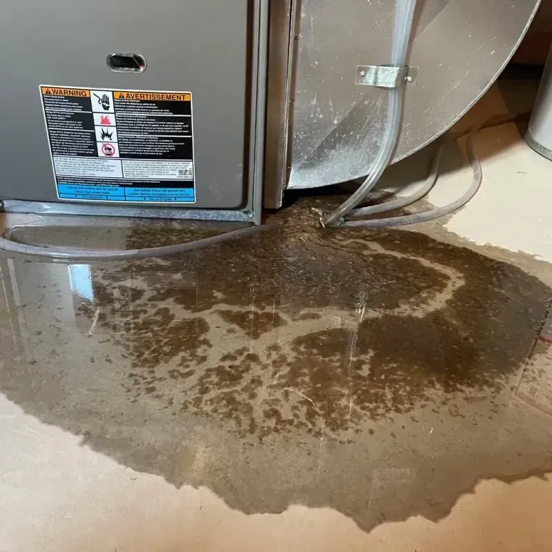 Appliance Leak Cleanup in Michigan Center, MI